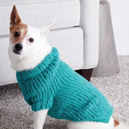 Essential Materials and Tools