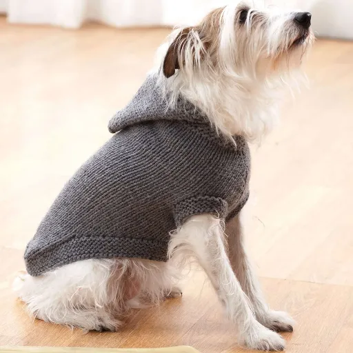 Step-by-Step Guide to Knitting Your First Dog Sweater