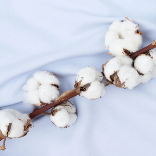 What Are the Properties of Cotton Fabric?