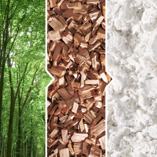Sustainability Efforts in the Viscose Industry