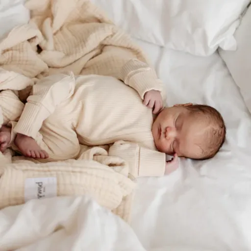 Alternatives to Polyester