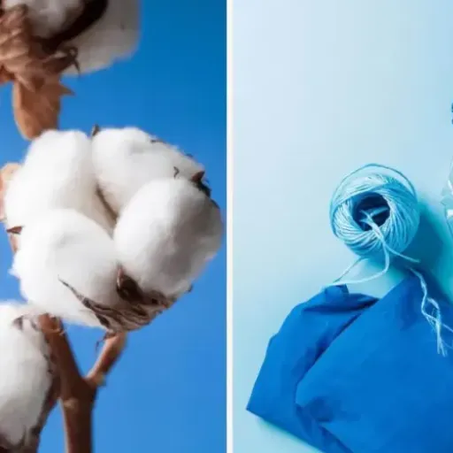 Introduction to Polyester and Cotton