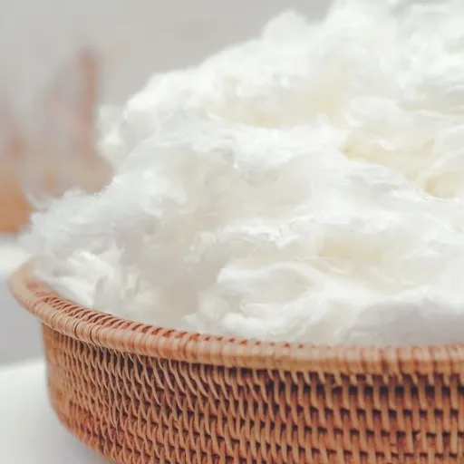 Manufacturing Process of Viscose