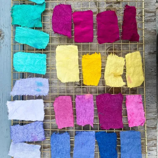 Materials and Equipment Needed