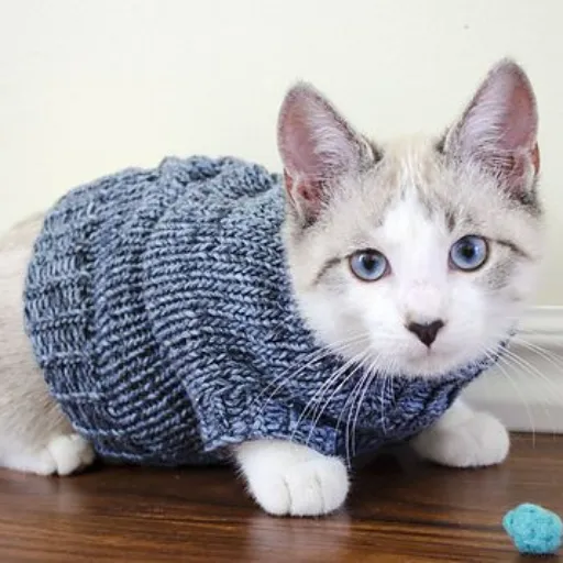 Beginner-Friendly Tips for Crafting Cat Sweaters