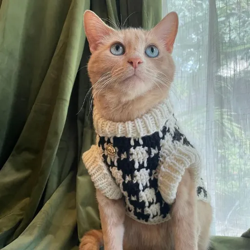 Introduction to Cat Sweater Patterns