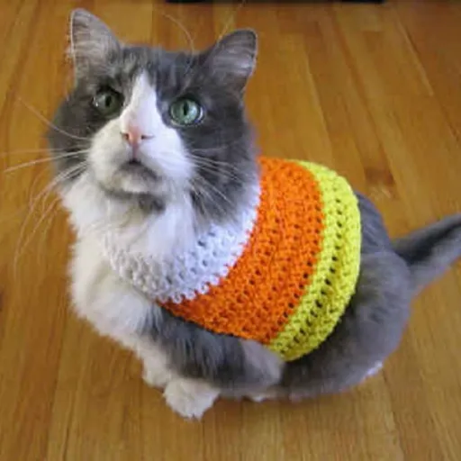 Recommended Materials and Tools